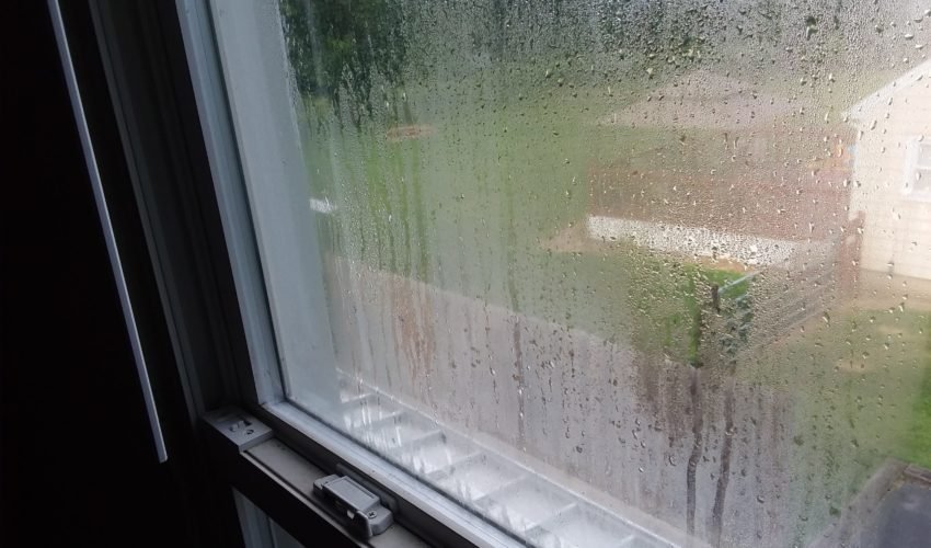 foggy windows